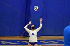 Volleyball vs RWU  Wheaton Women’s Volleyball vs Roger Williams University. : Volleyball, VB